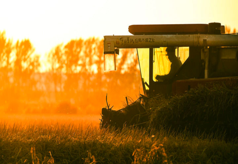 ！“人文”与“经济”辉映共生PG麻将胡了2试玩双节相遇(图3)