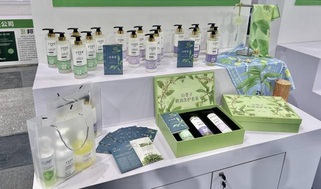 ：粤北山野“小辛香”如何迈向“大市场”PG麻将胡了免费模拟器一颗山苍子的新生(图5)